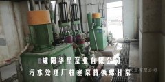 污水處理廠壓濾機(jī)專(zhuān)用泵柱塞泵替換螺桿泵